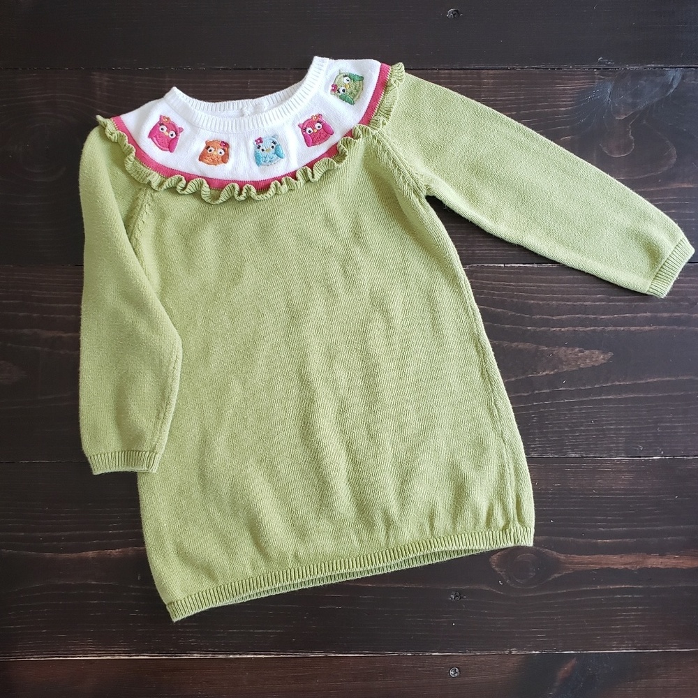 Toddler Girl Green Sweater Dress with Owl Design
